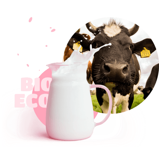 cow with a jug of milk